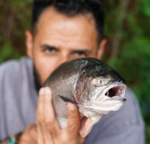 ��� �������� ��������� ���������� ��� �������� ����