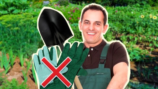 �������� ��� ������ �� ������: ��� ��� ������� ���� ������