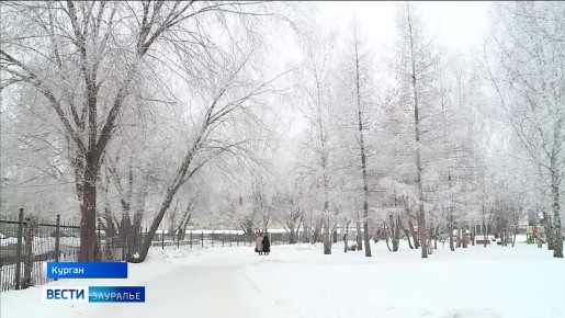 � ���������� ������� ��������� ������ �����������