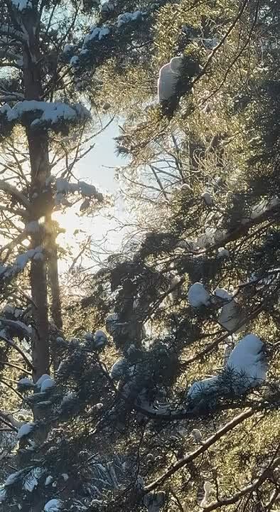 Губернатор Вадим Шумков обратился к жителям региона в связи с морозами