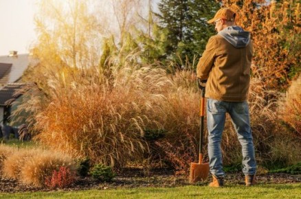 ��� ����������� ������� � ������ �������