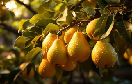 ������� ��������� ������: ��� �������� ����� � ������ � ��������