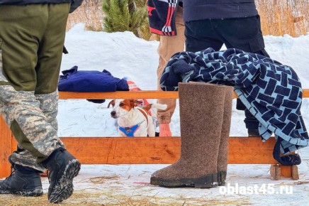 ������ �� ������ ���������� ������� � ����� �� ������� ���������� �������