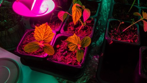 ����� �����������: ������� ���������� ������ �������� � ����������� �������