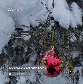 ������ ����, ���������!. ���� � ������� ������� ���� ���������