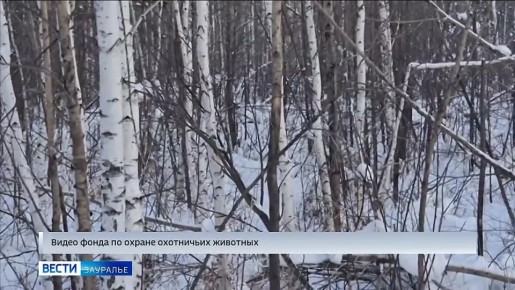 ��������� ���������� �������� � ���������� ������� �������� ������ ���� ��������