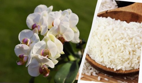 ��� ������� ���� ����� �������� ����� � ���� �������