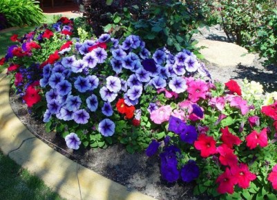 �������: �������, ��������� ������