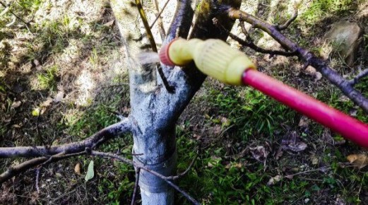 �������� � ����: ������ ������ ��� ��������� ����� �����