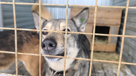 �������� �������� � ��������������� ������