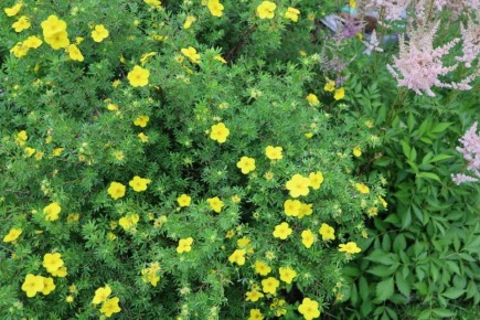 ��� ��������� ���������� ��� � �������� ���� �������?