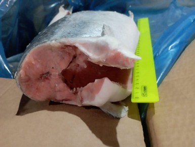 ������� ������: ����� �����������, ������� ����� �����������