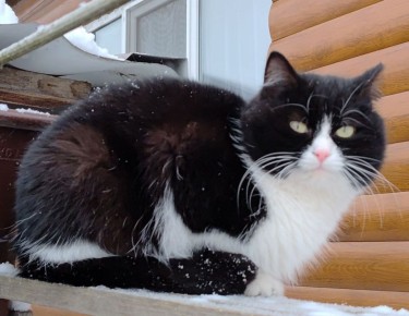 � �������� ���� ������������� ����