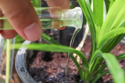 �������� ������� � ����: ����������� ������������ ��� ��������