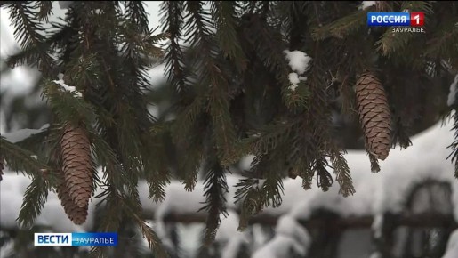 � ���������� ������� ��� ��������� �������� ������