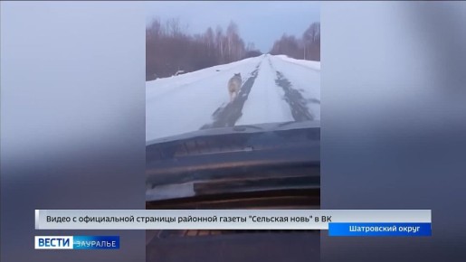 � ���������� ������ �� ���������� �������� �����