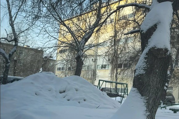 В Кургане продолжается контроль за уборкой дворов и прилегающих территорий к бизнесу В Кургане продолжается контроль за уборкой дворов и прилегающих территорий к бизнесу