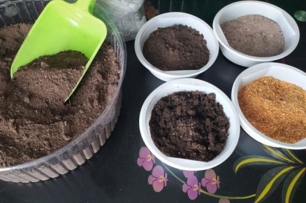 Как выбрать идеальный грунт для рассады: практические советы