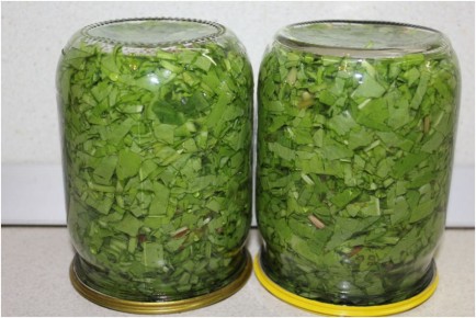 ��������� ������ �� ����: ������� � ������� ������