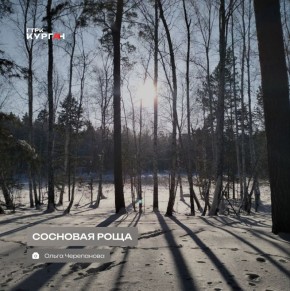 ������ ����, ���������!. ���� ����� ����� � ��������