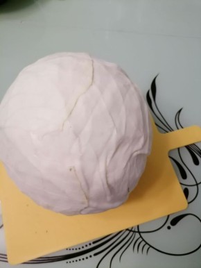 Сочные кочаны и надежное хранение: лучшие сорта капусты для вашего огорода