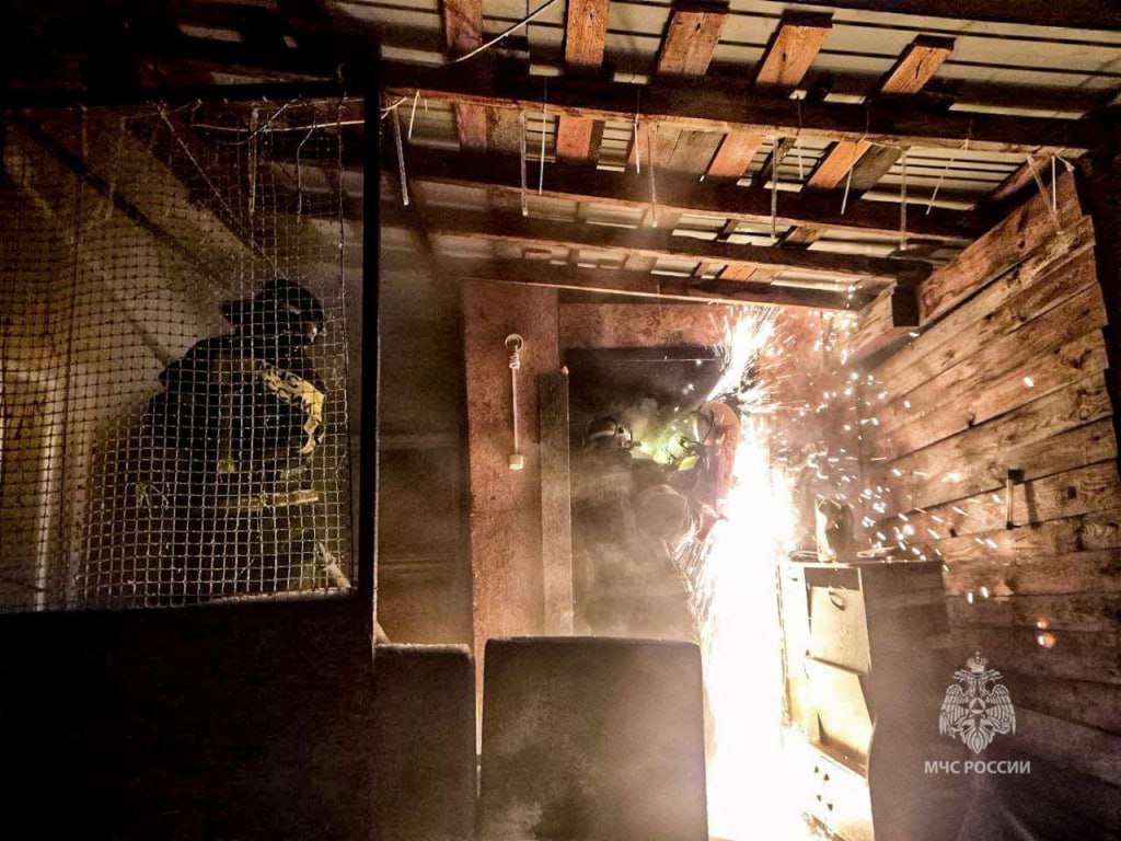 В Кургане во время ликвидации крупного пожара спасли собаку