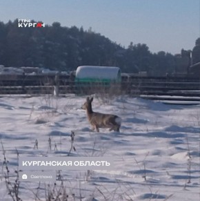 ������ ����, ���������! � ������� ����� ������!