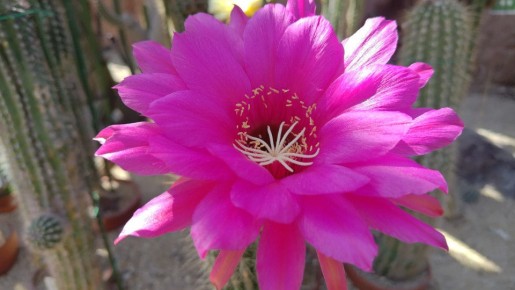 ���������: ������ � ������� ������� � ��������� ������