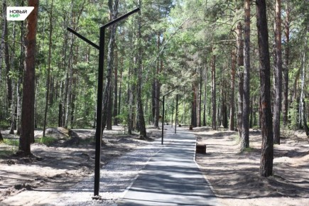 В рябковском экопарке создают новую рекреационную зону в рамках национального проекта «Туризм и гостеприимство»