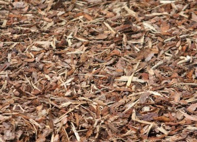 ������ ������������� ����� �������� ���� � �������