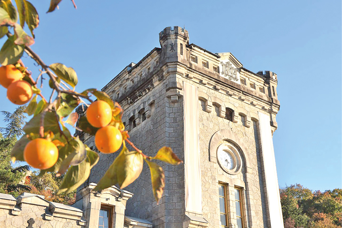 Сладости хурмы: как наслаждаться фруктом и избежать неприятностей