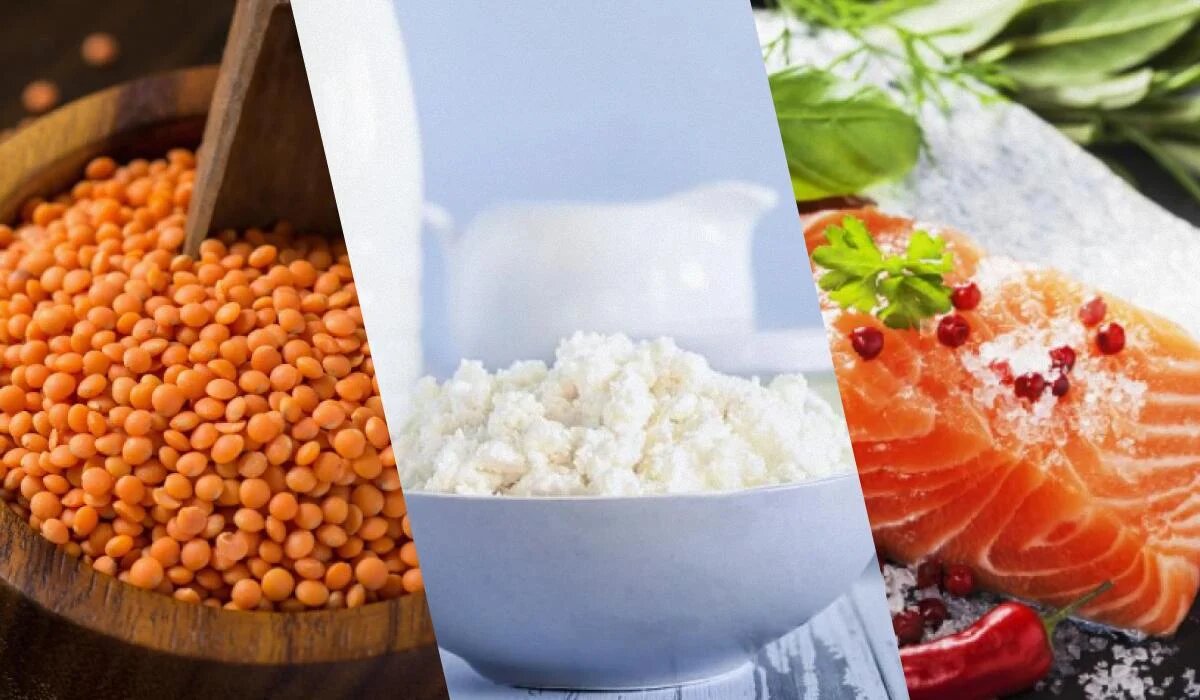 Продукты с высоким содержанием белка: что выбрать для здоровья и стройности