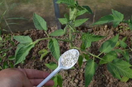 ��� ��������� ���������� ������ ��� �� ��������� �����