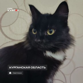 ������ ����, ���������!. ������� � ������� ����� �������� � ��� �������