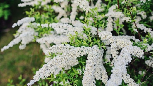 ������� �������� ������� ������ � ������: �������� �� ����� ������