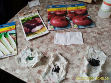 ������� ��������� ����������� ���� �� �����������