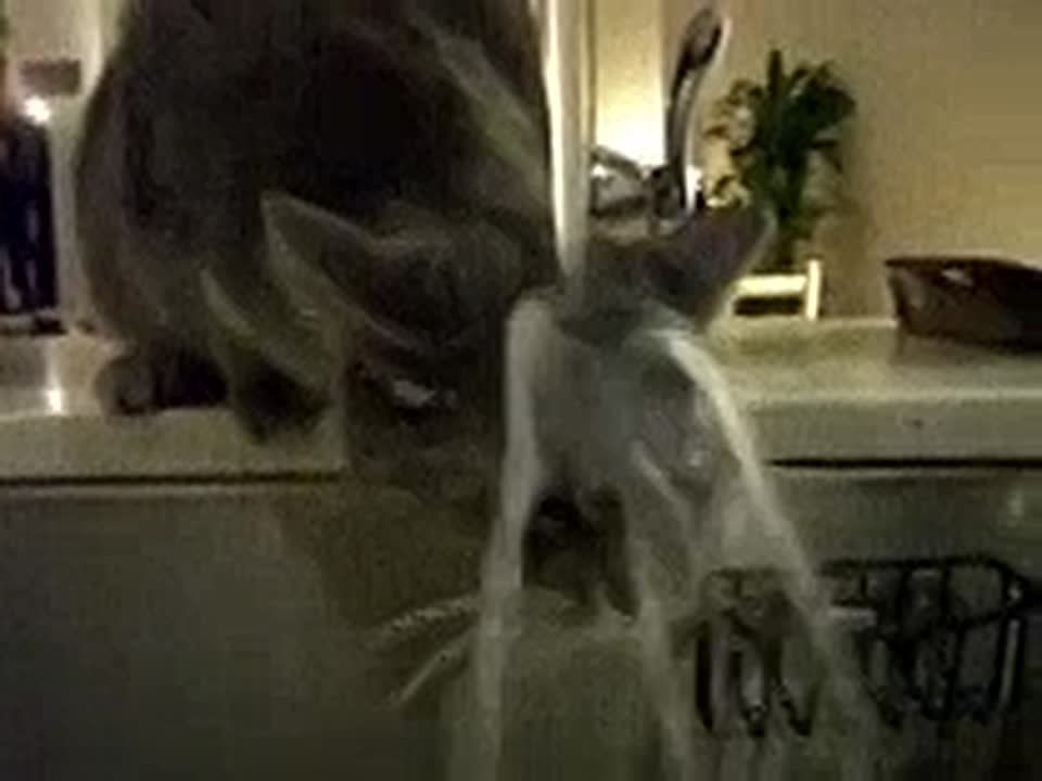 � ������� �������� ������� ����������� �������� ����