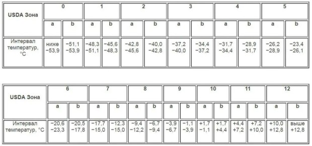 Как защитить растения зимой: важные советы по уходу и выбору