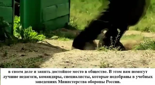 ������� ����������� �� ������ ������� ����������� ���������� ����������� � ����������� ����������� � ���� � ������-����������� ������� ��������� ������������ ������� �� � �������� ��������� ������� � ��������� ������...