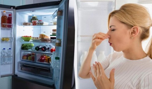 Эффективное решение для борьбы с запахами в вашем холодильнике