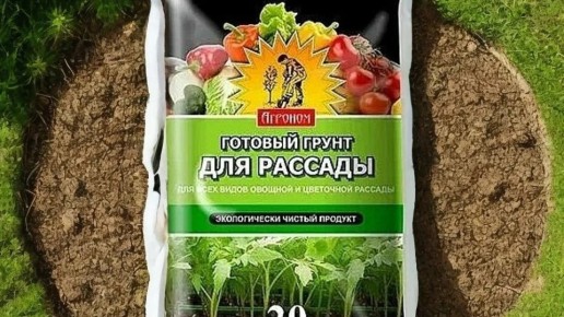 ������ ������������� ����� ���� �������� ���������� ����� �������