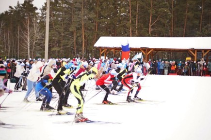 ������ ������ �������� � ���������� ������� 14 �������