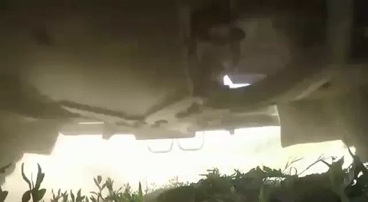 ������ ���������� ������� � ������� ����������� ���������� ������� ���������� ��������� �� �������� � ��������� ������ ������