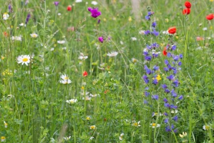 ��������� �������� �������: ��� ������� ��������� ������� ������ ��� �������