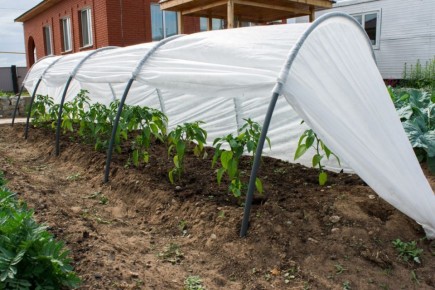 ��� �������� ��������� ������� ������ ����: ������� ������ � �������������