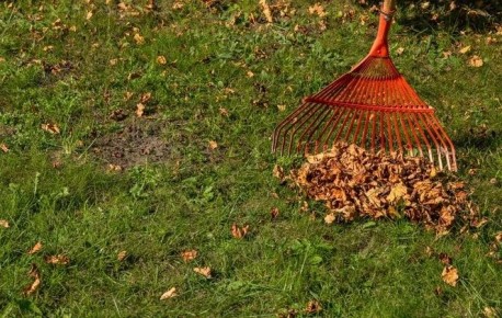 � ���� ����� ������� ���� � ������� ������� ��������� �������� �� ������ �����