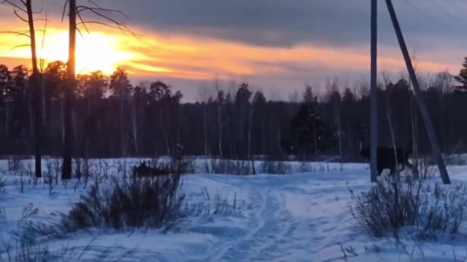 � ����� ���������� ������� ������� ����������� �����, ������ � ���������