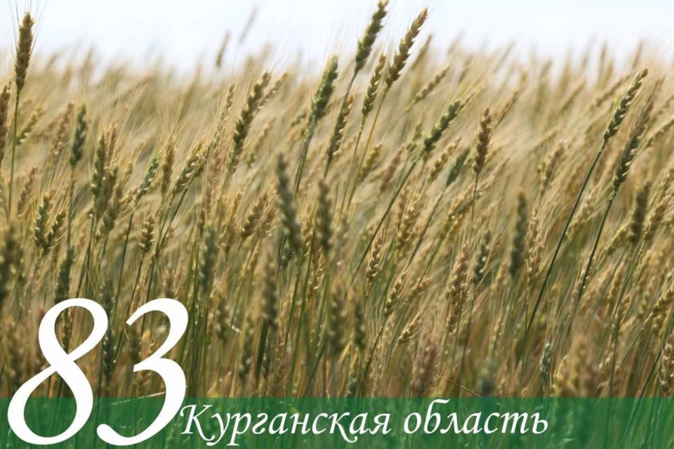 ����� ��������: ��������� �������, ������� ��������!