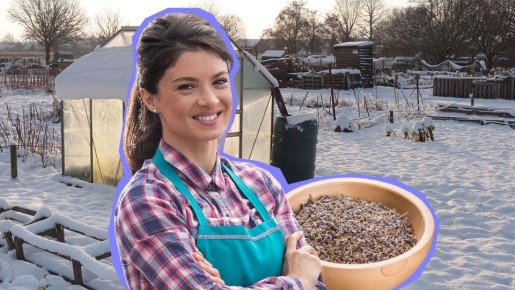 ������� � ����: ��� �������� ����� �������� �� ������� � ������