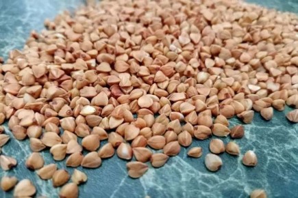 ��� ��������, � �������� ������ ���� ������: ��������� ��� � ��������